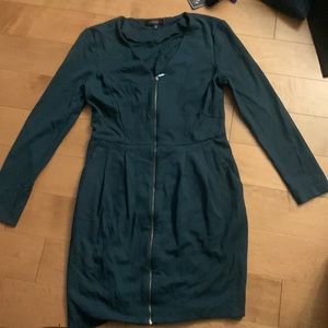 Dynamite zip up fall/winter dress
